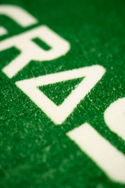 Touch Grass Rug